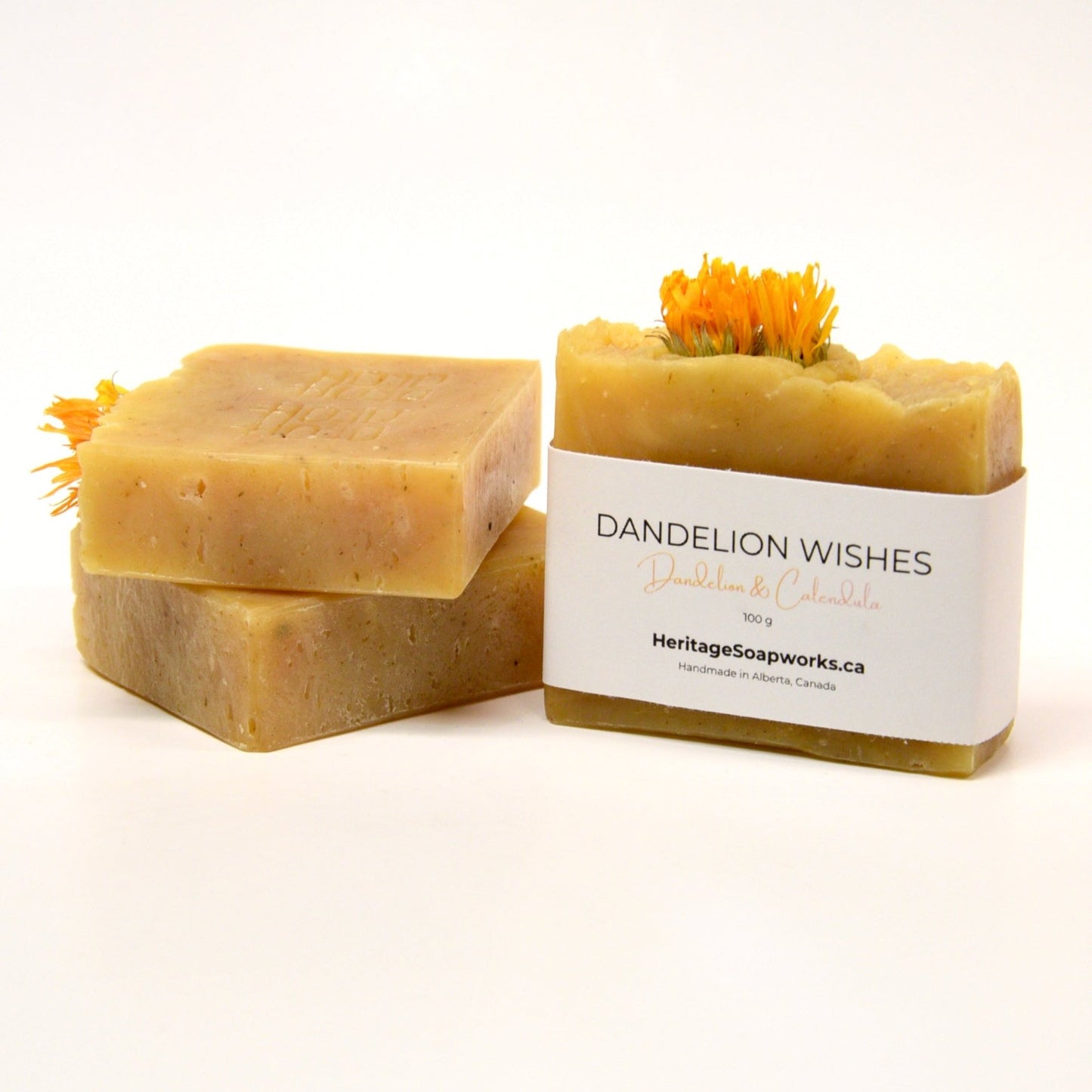 Dandelion Wishes