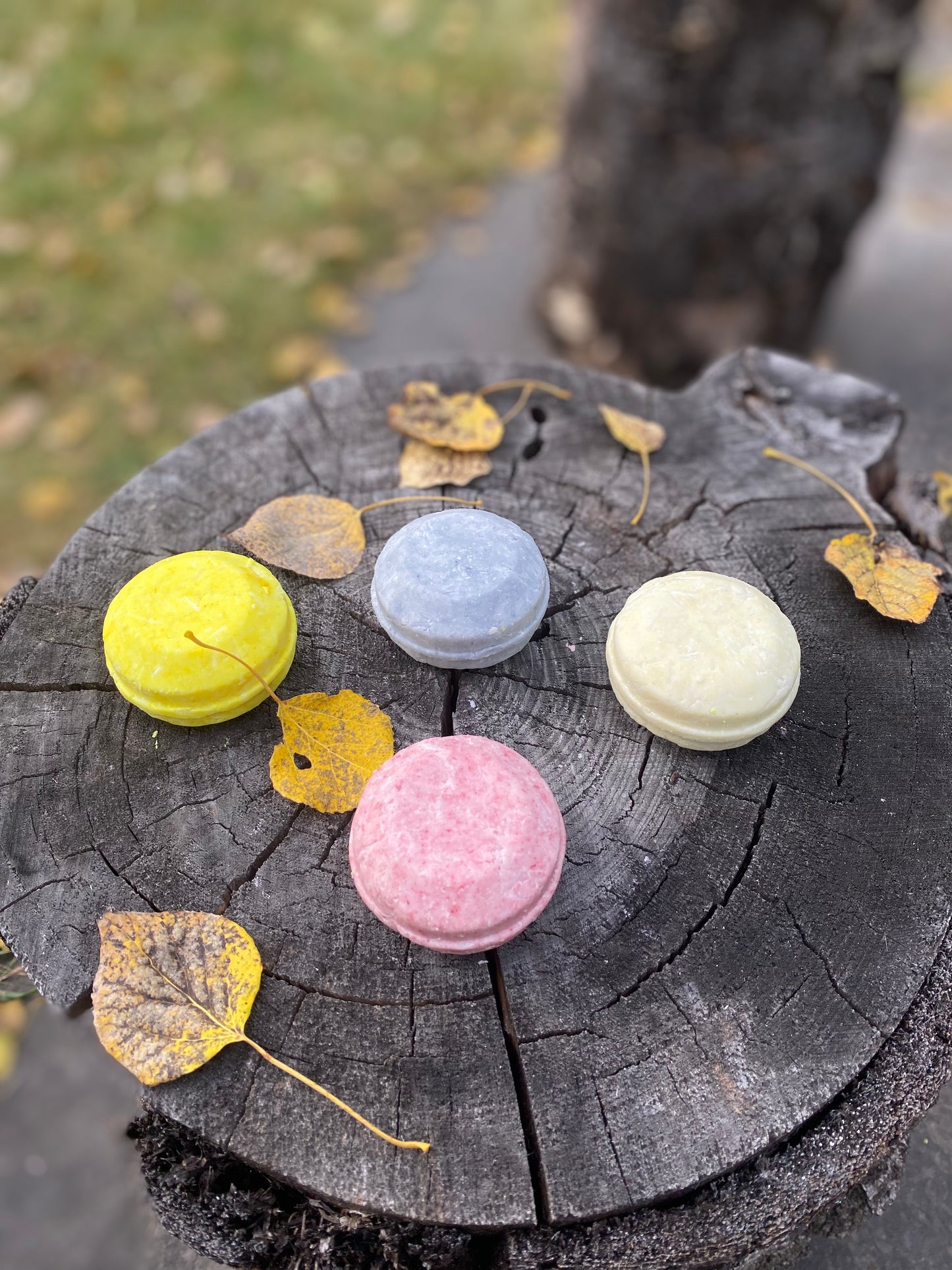 Shampoo Bar - Lavender Haze