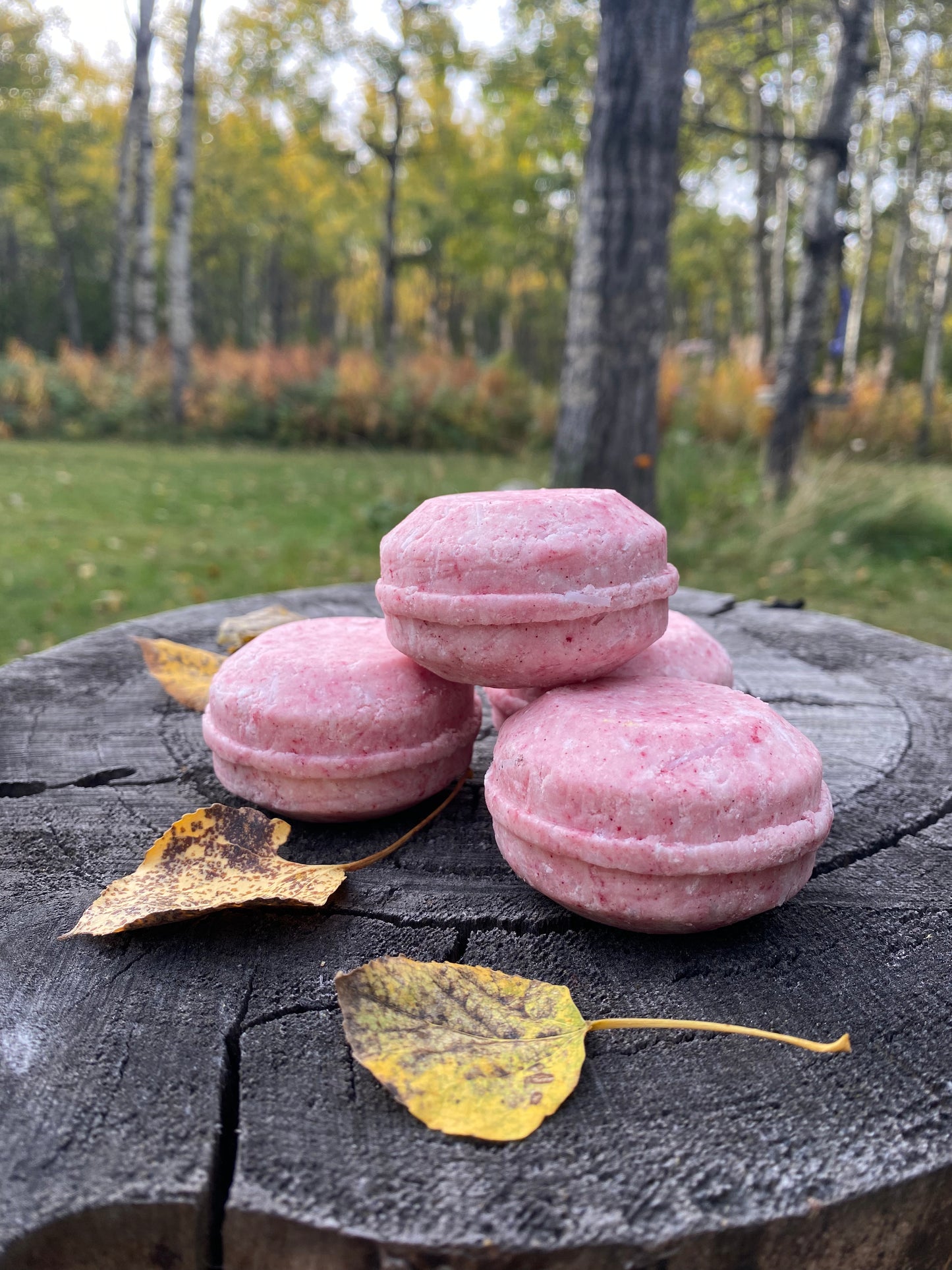 Shampoo Bar - Lavender Haze