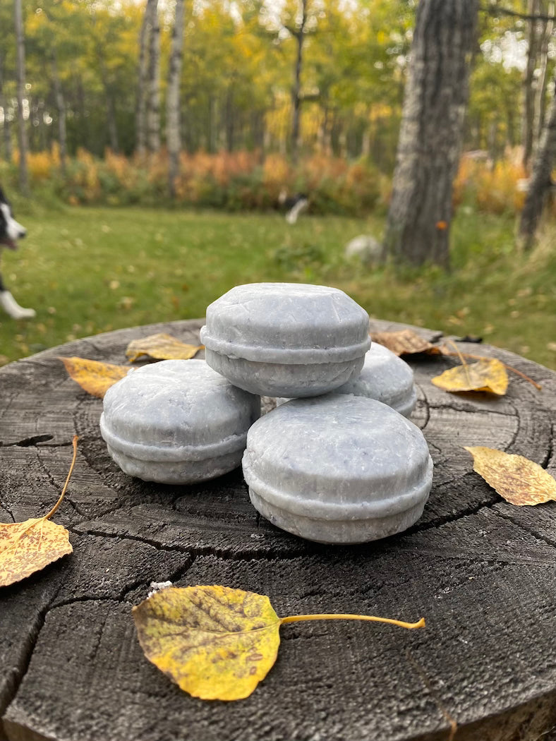 Shampoo Bar - Ancient Forest