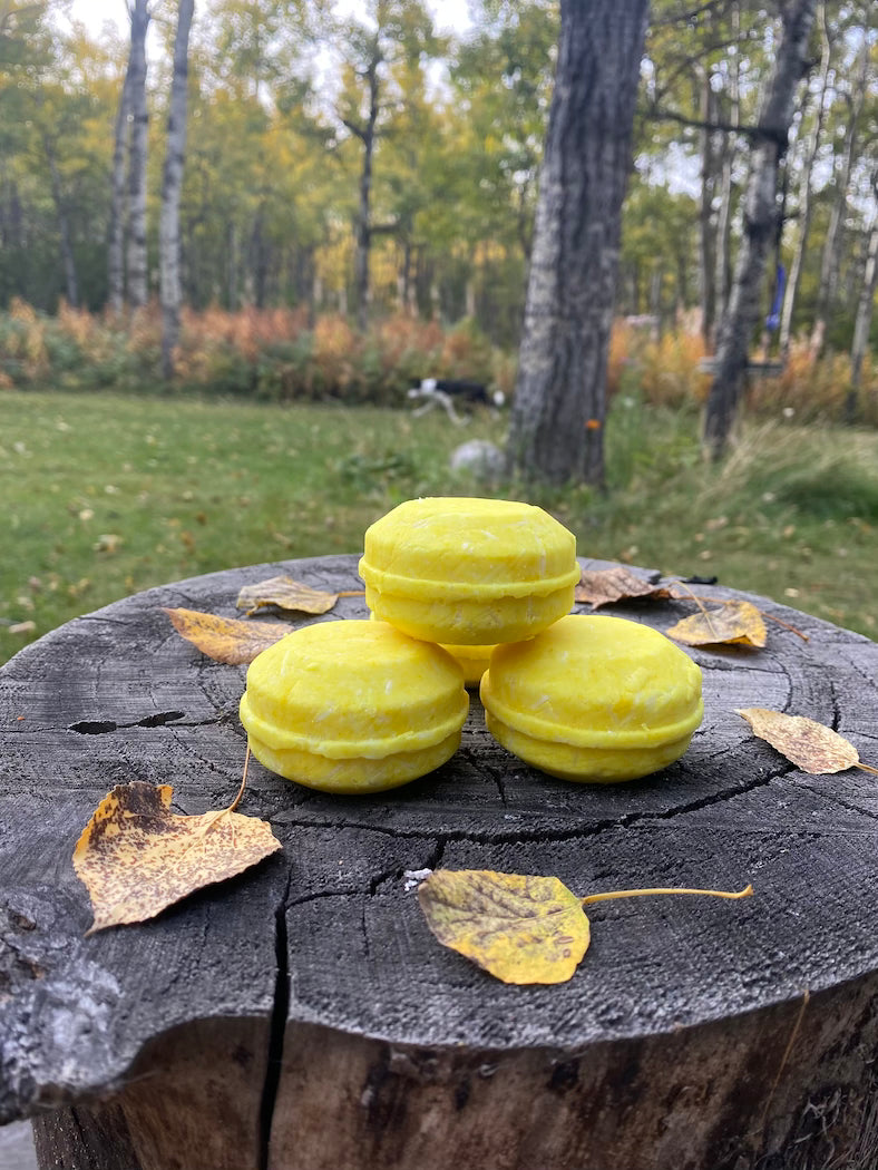 Shampoo Bar - Lemon meringue