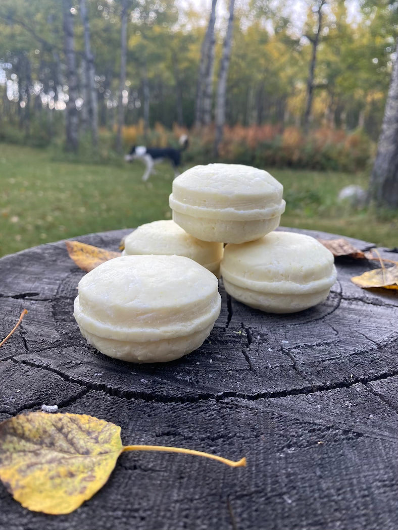 Shampoo Bar - Banilla Breeze