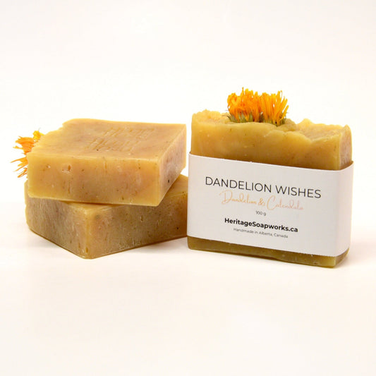 Dandelion Wishes